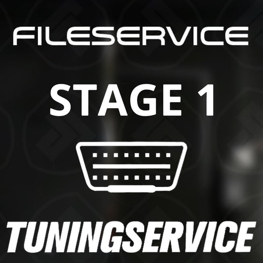 E-Tune custom stage 1 ( performance cars )